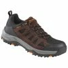 Bearpaw Summit Low Waterproof Men's Hiking Boots
